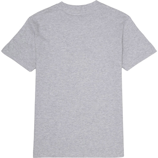 Alien Workshop Spectrum T-Shirt - Dark Heather Grey